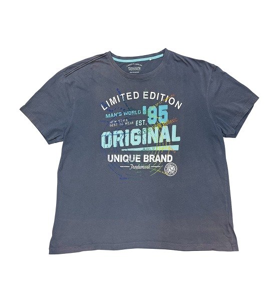 画像1: BLESS 5415 Multi collection Vintage T (1)