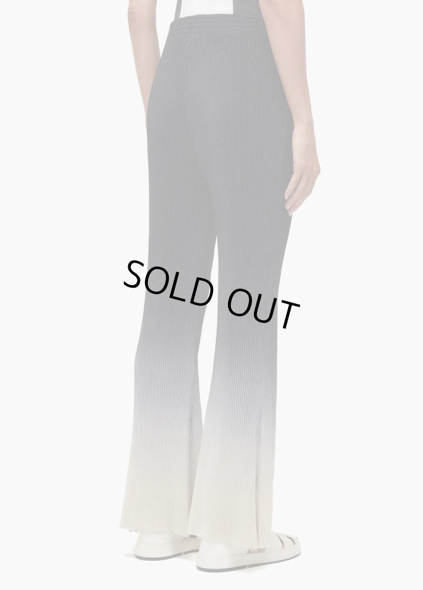 画像3: OSKLEN  オスクレン パンツ Flare Pleated Gradient Pants (3)