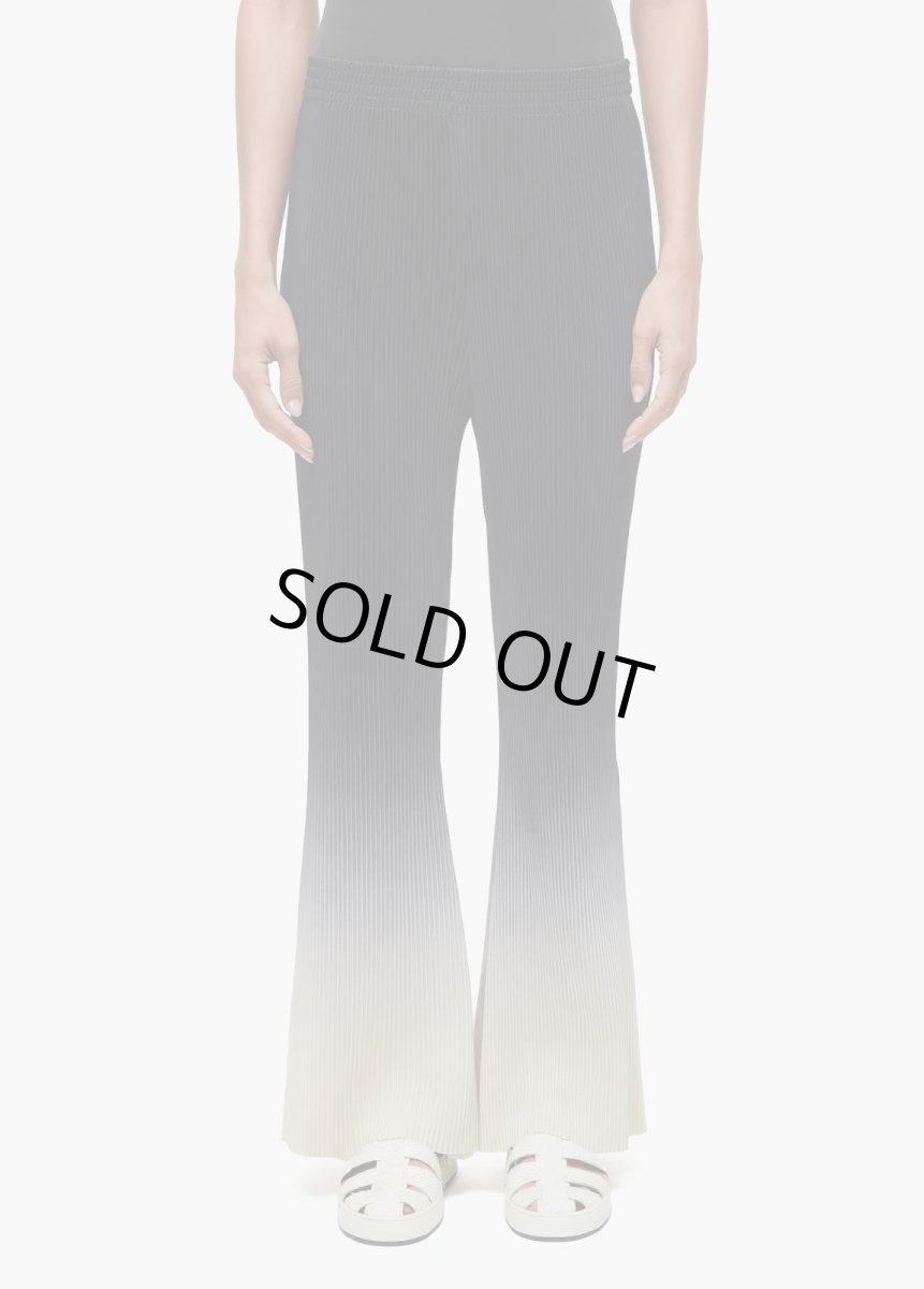 画像1: OSKLEN  オスクレン パンツ Flare Pleated Gradient Pants (1)