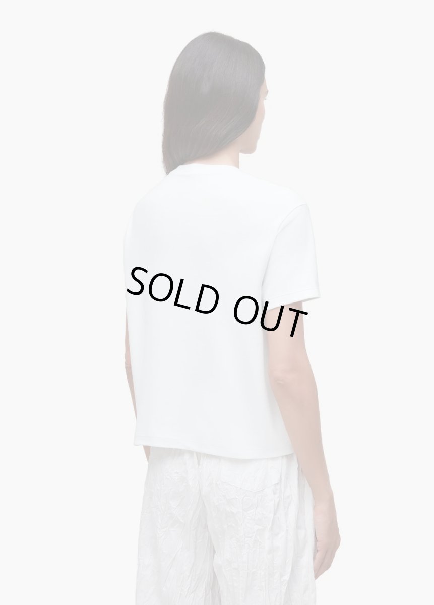 画像4: OSKLEN  オスクレン　Tシャツ Embroidered Coconut Palm Gold T-shirt (4)