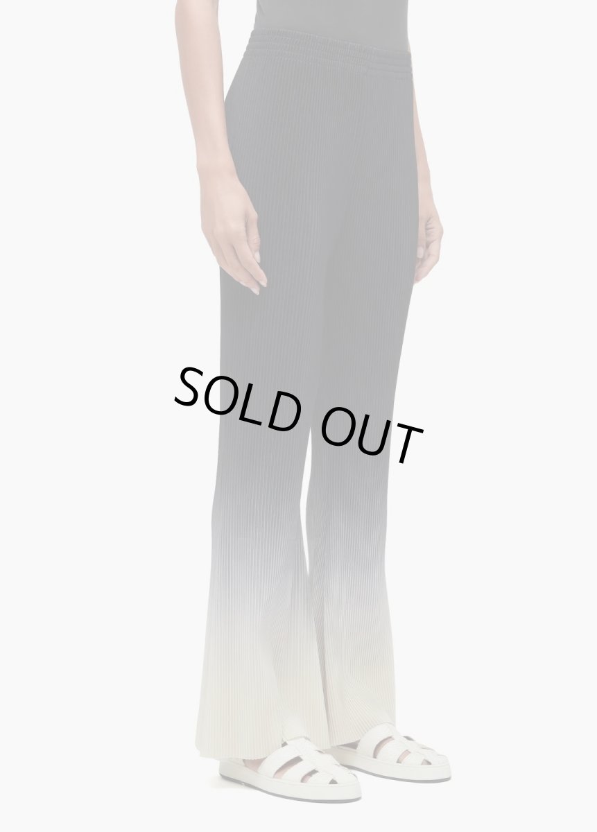 画像2: OSKLEN  オスクレン パンツ Flare Pleated Gradient Pants (2)
