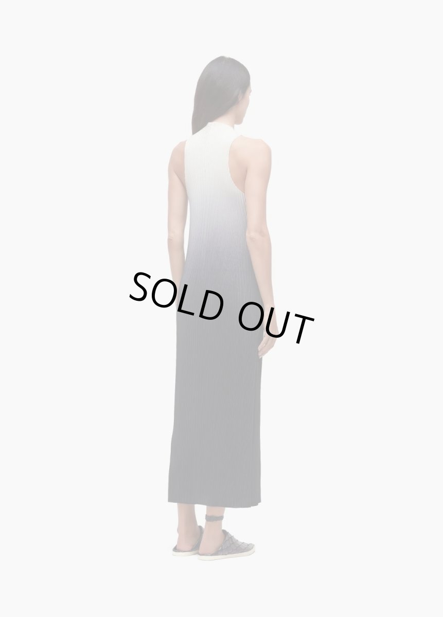画像3: OSKLEN  オスクレン ドレス Raglan Pleated Gradient Long Dress (3)