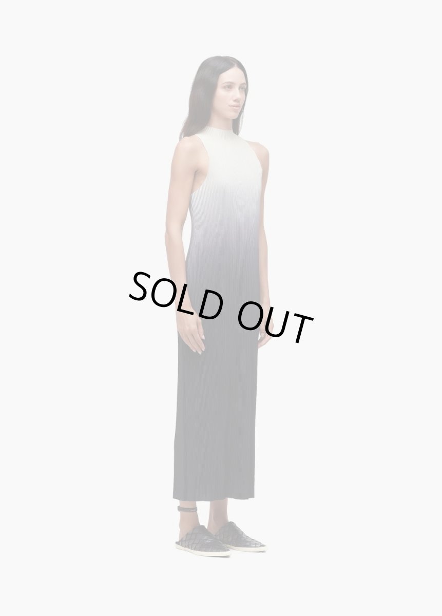 画像2: OSKLEN  オスクレン ドレス Raglan Pleated Gradient Long Dress (2)