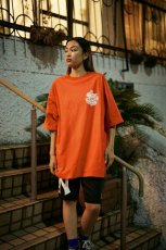 画像3: TAIN DOUBLE PUSH　TAIN EMBLEM SHORT SLEEVE T-SHIRTS (3)