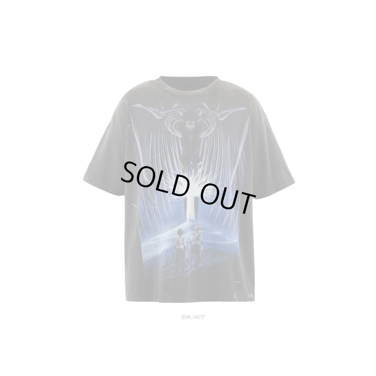 画像1: SAINT Mxxxxxx_進撃の巨人　ATTACK ON TITAN AOT_SS TEE (1)