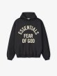 画像1: ESSENTIALS FEAR OF GOD　Campus 90s Hoodie (1)