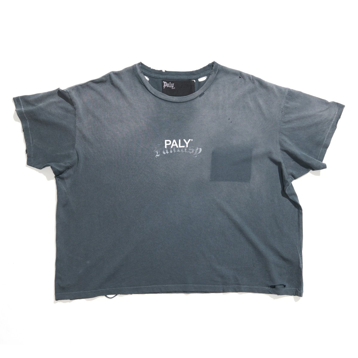 画像1: PALY HOLLYWOOD HOLY CORE LOGO TEE (1)