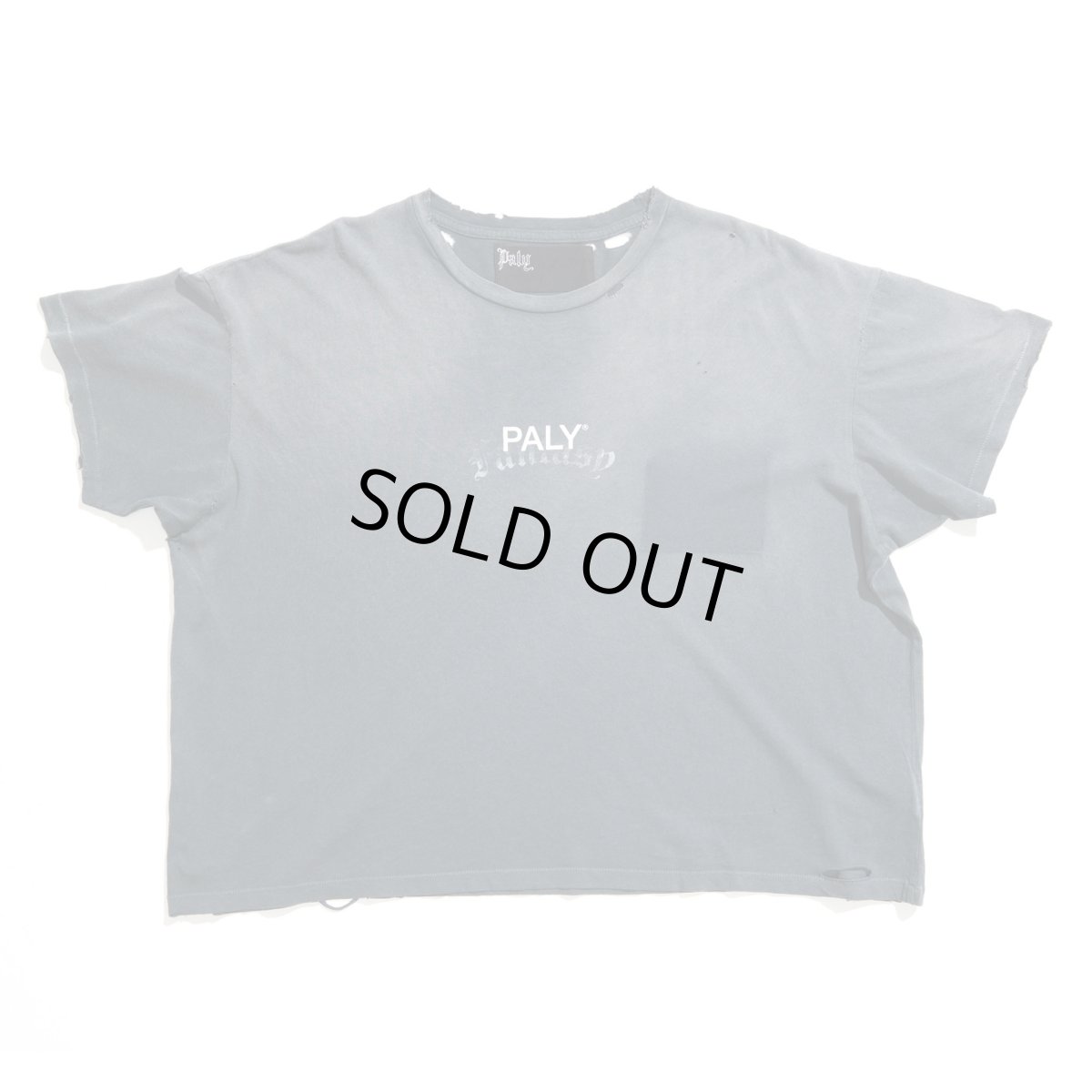 画像1: PALY HOLLYWOOD HOLY CORE LOGO TEE (1)