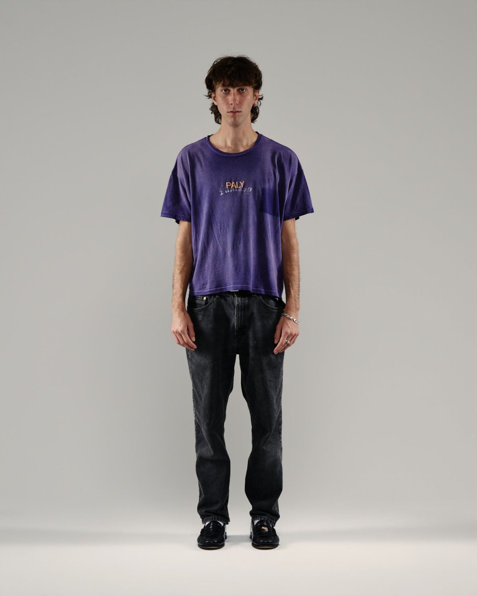 画像3: PALY HOLLYWOOD HOLY CORE LOGO TEE (3)