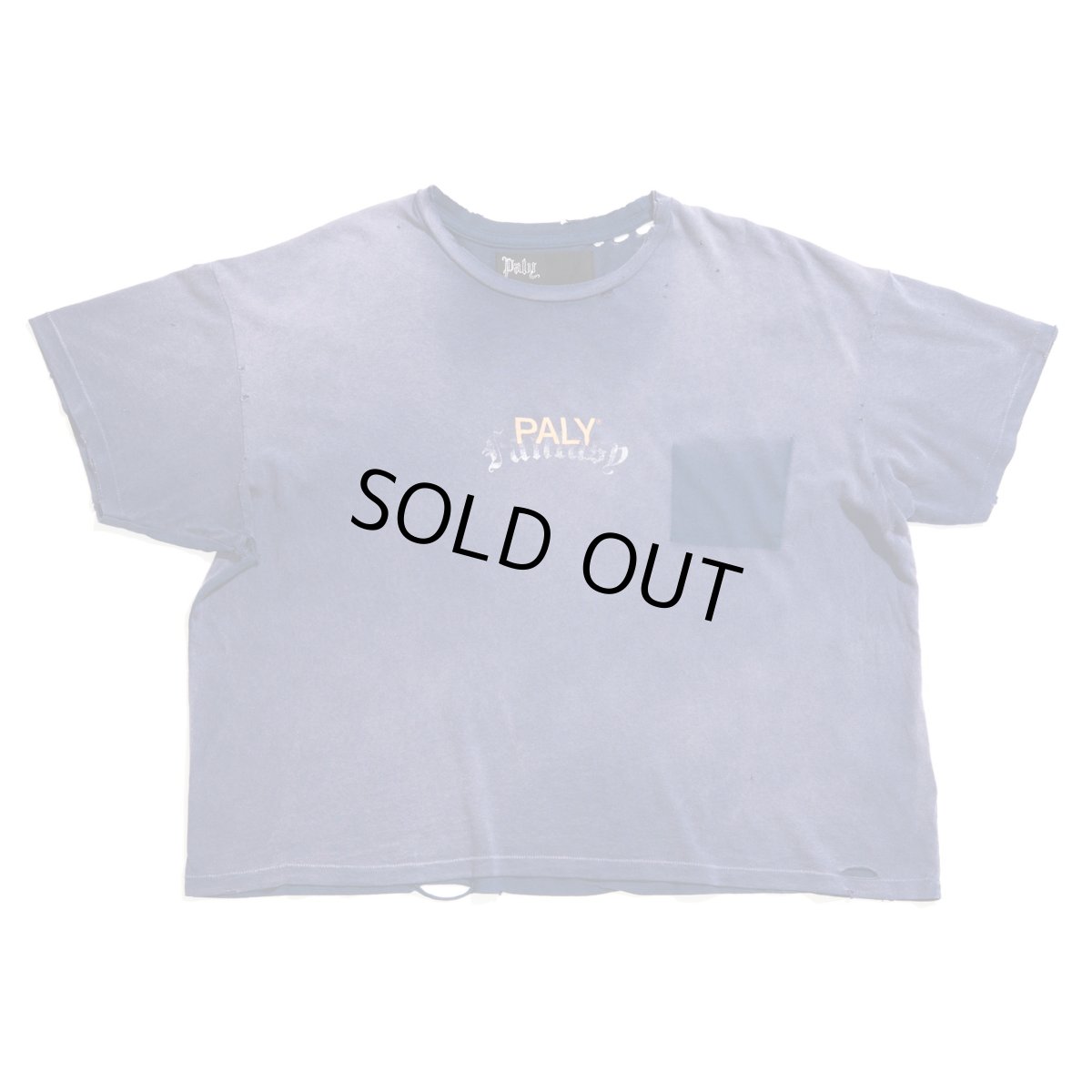 画像1: PALY HOLLYWOOD HOLY CORE LOGO TEE (1)