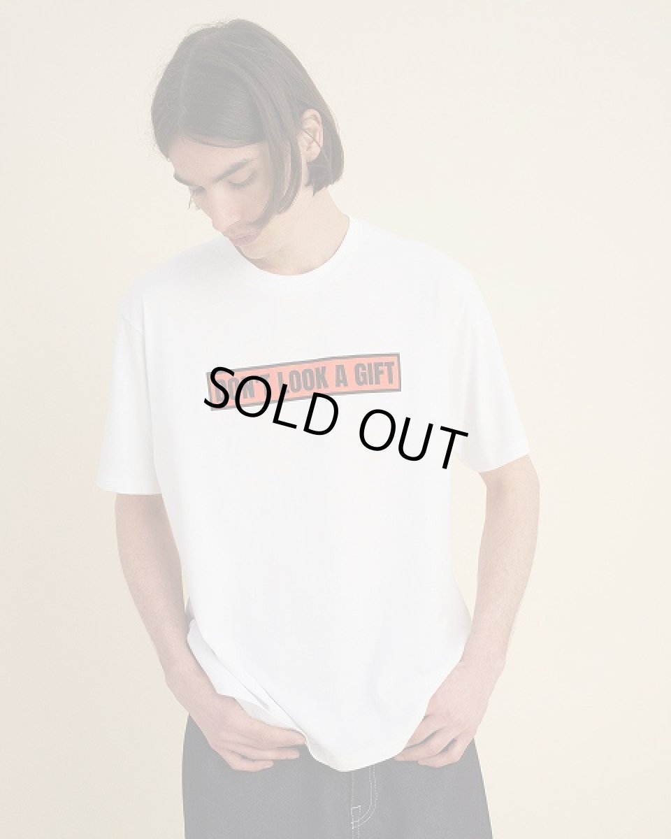 画像3: POINTER BRAND  S/S TEE (3)