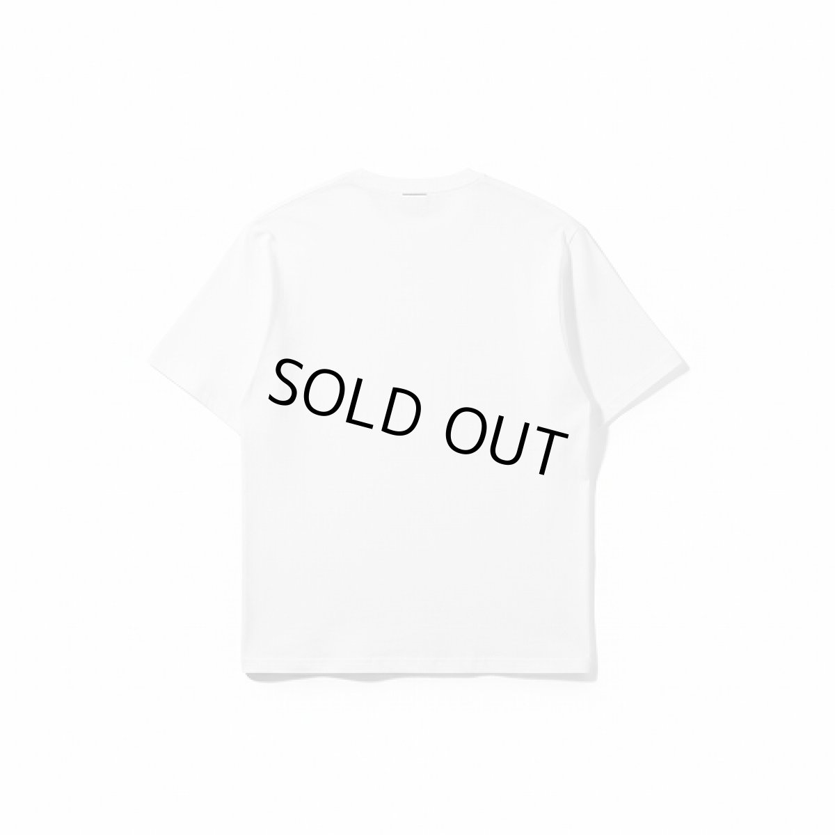 画像3: WESTFALL T-Shirt SS (3)