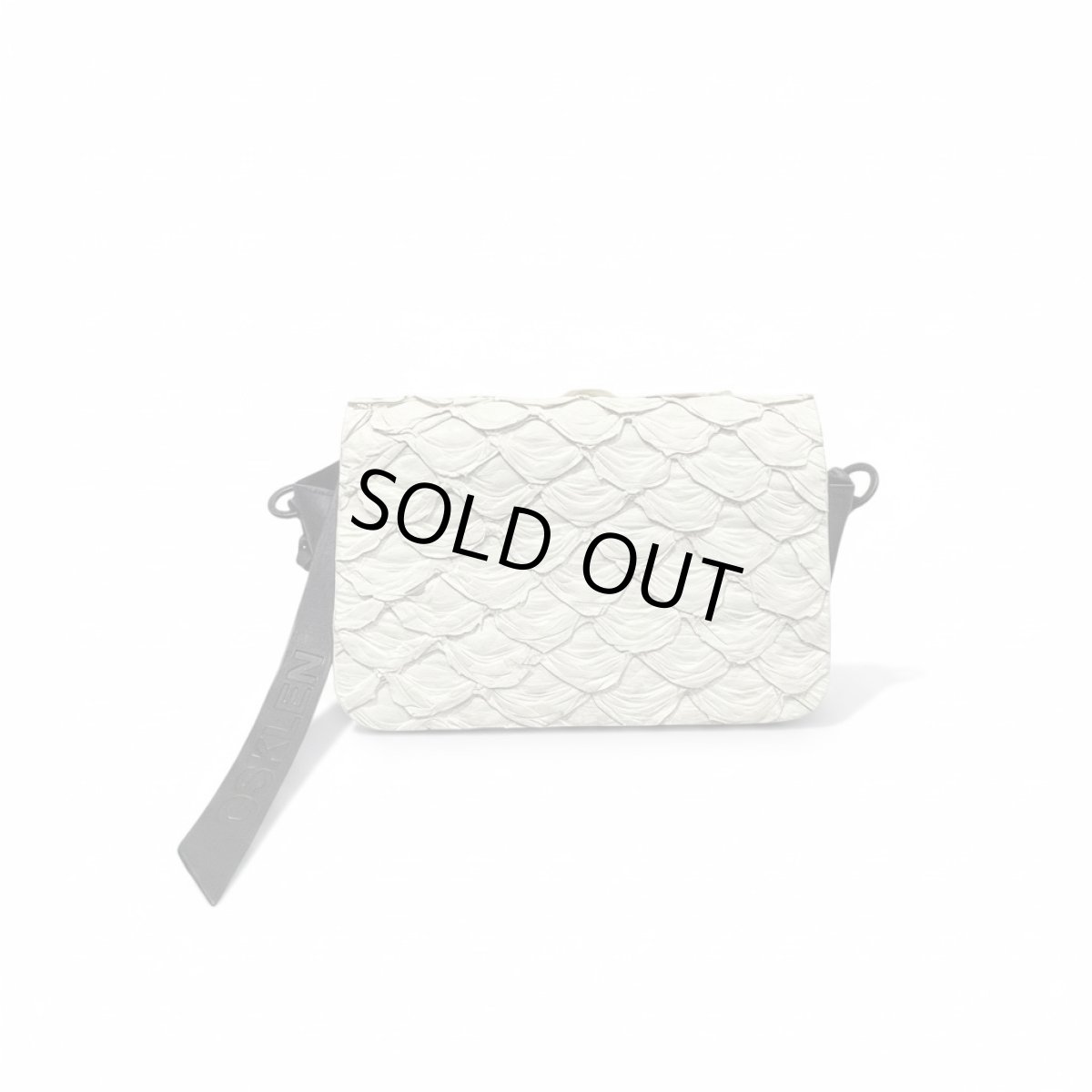 画像2: OSKLEN BOLSA PIRARUCU BAG (2)