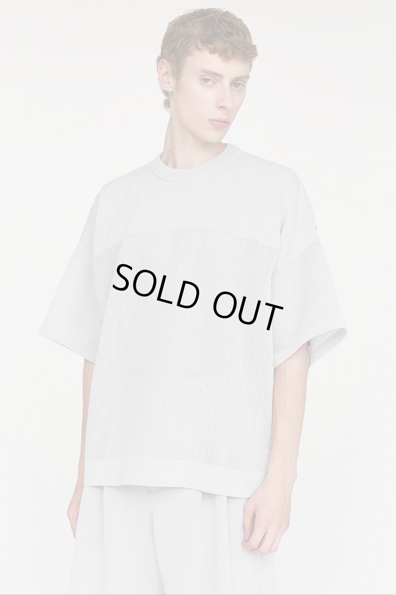 画像2: WAFFLE LUCENT SHORT SLEEVE TEE SHIRT (2)