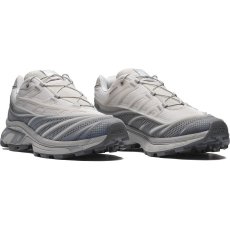 画像2: SALOMON  XT-EVO (2)