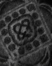 画像3: CASABLANCA   Black Carpet Mohair Trousers (3)